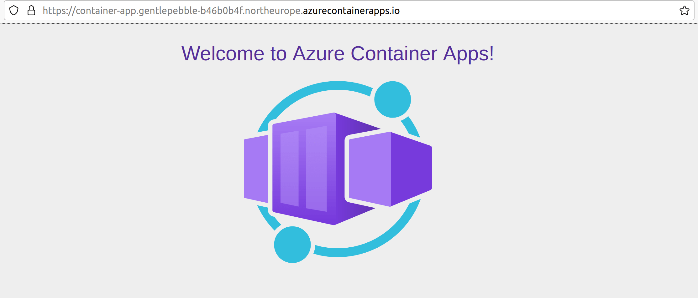 screenshot of the running Azure Container App